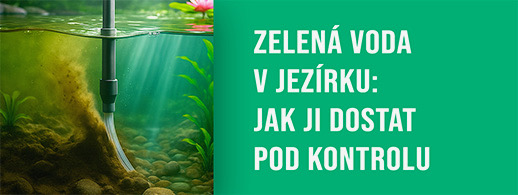 Zelená voda v jezírku: Jak ji (konečně) dostat pod kontrolu