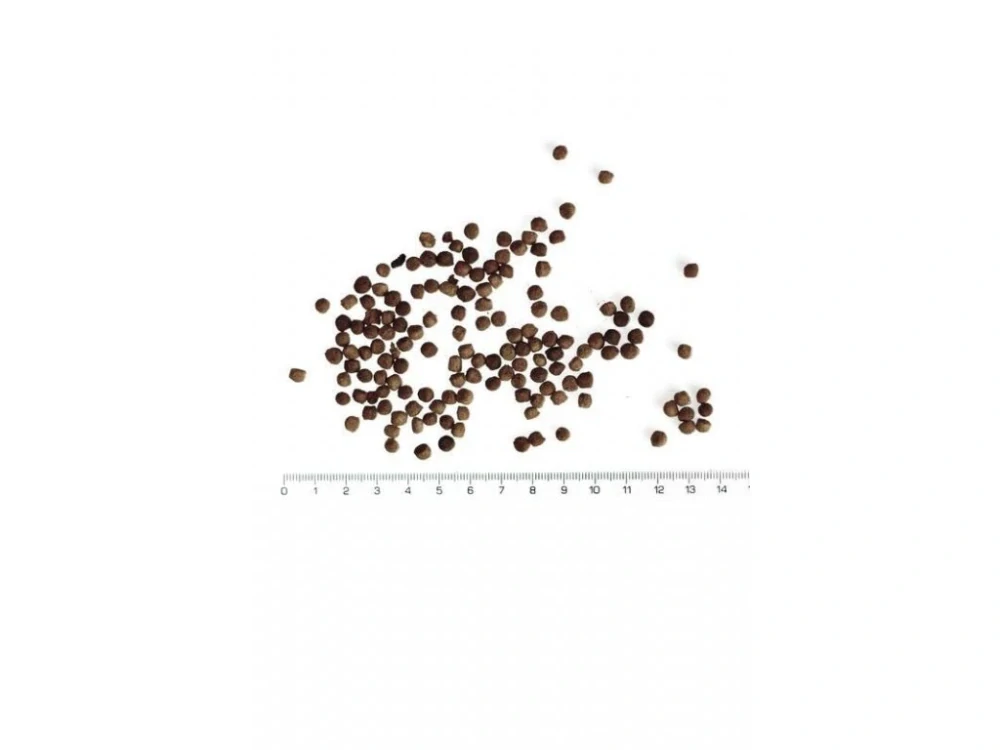 Multi Mix 3 kg – Krmivo pro ryby v jezírku