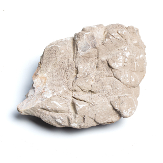 Kámen Grey mountain rock: S (méně než 1 kg, 5-15 cm)