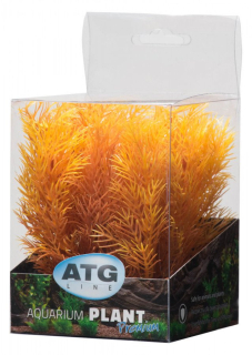 ATG Premium rostlina Mini (8-14cm) 204