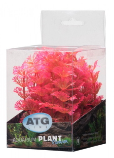 ATG Premium rostlina Mini (8-14cm) 208