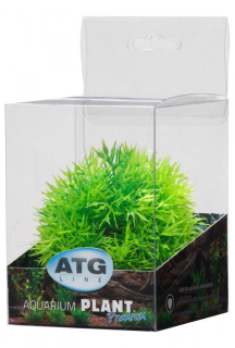ATG Premium rostlina Mini (8-14cm) 209