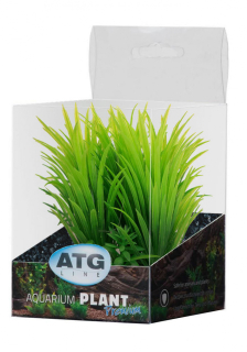 ATG Premium rostlina Mini (8-14cm) 237