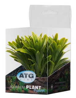 ATG Premium rostlina Mini (8-14cm) 233